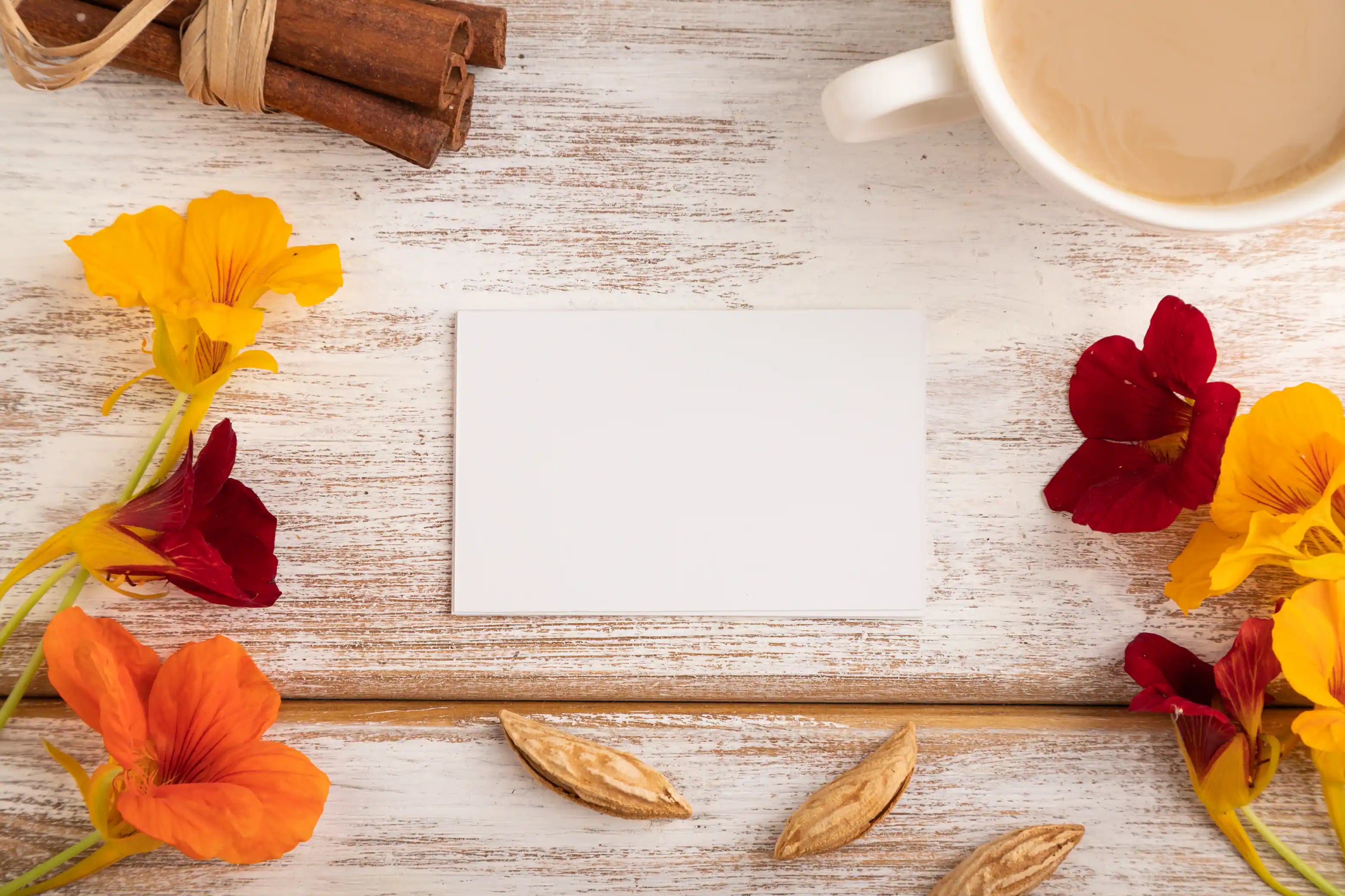 blank note card symbolizes why affirmation cards dont work to highlight why BlinkGood's Intentional living Tools are better