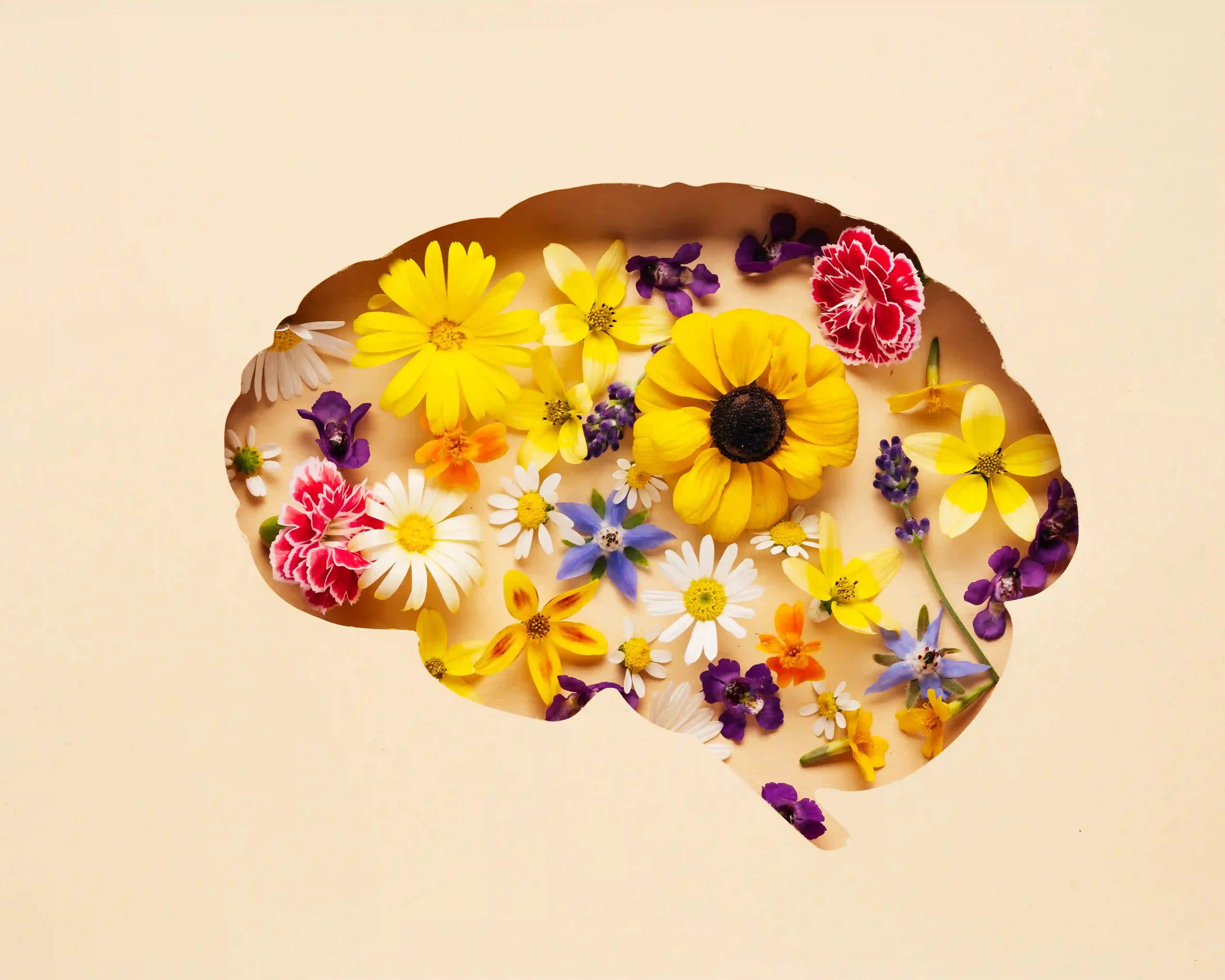 illustration of brain and flowers within