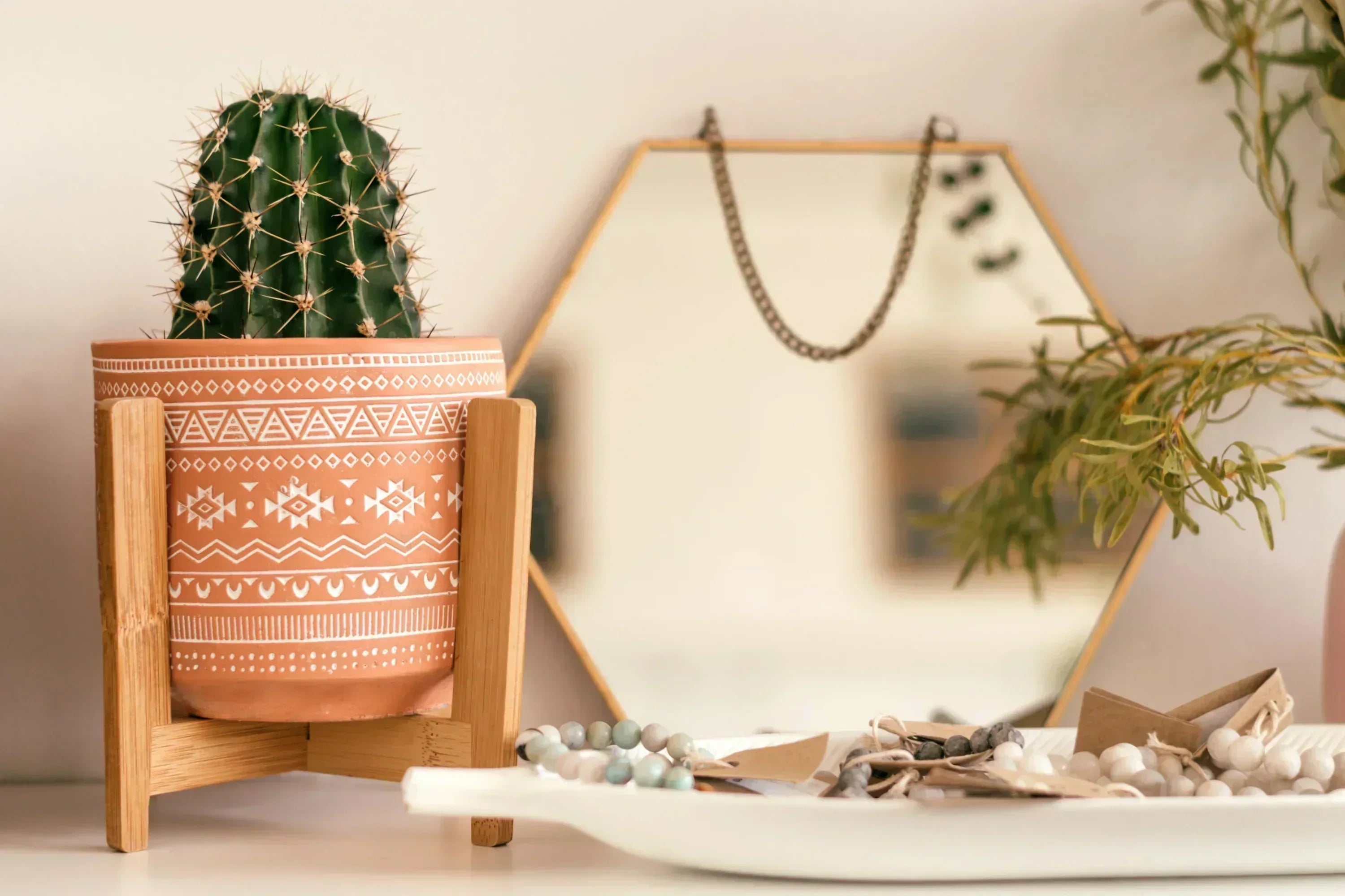 beautiful setting of a cactus for functional mindfulness