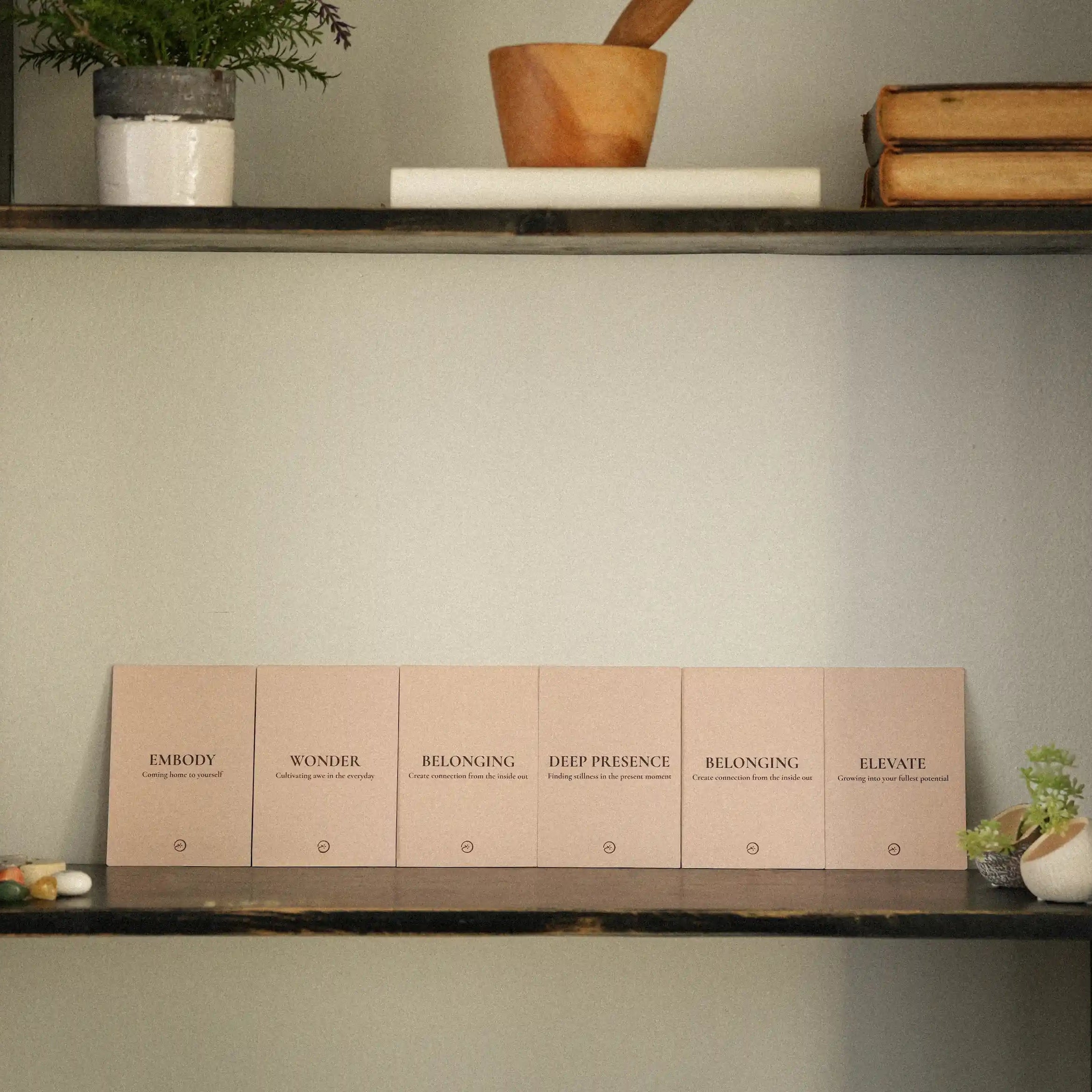 Category_cards_on_shelf_full