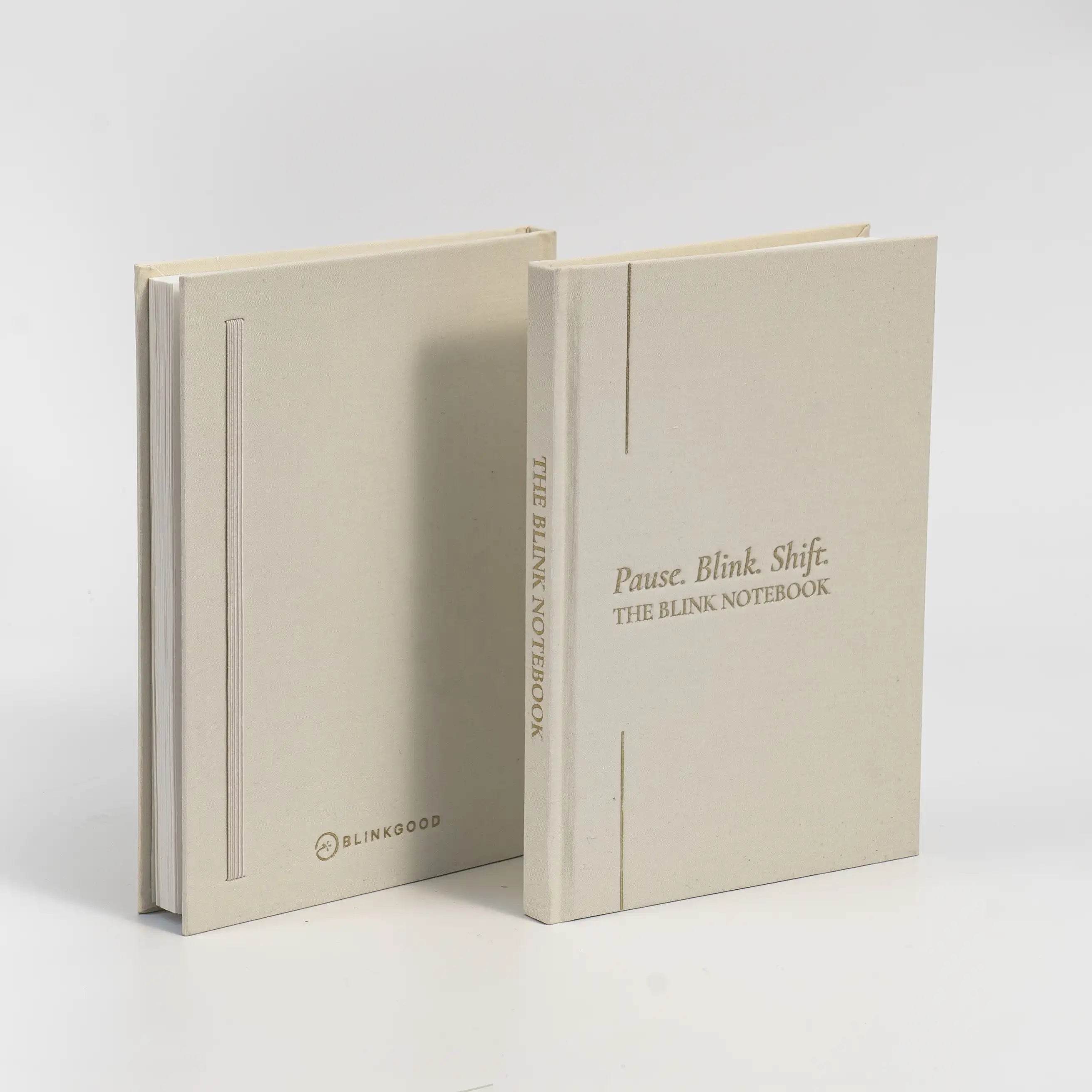 Two beige blink notebooks with text on a white background