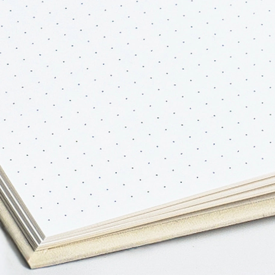 Blink notebook image